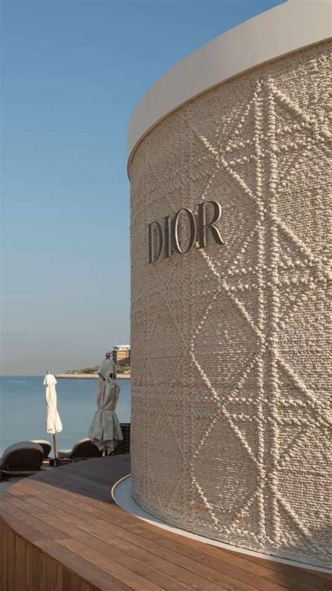 dior black and white|Luxury Designer Handbags for Women .